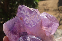 Natural Jacaranda Amethyst Clusters x 3 From Mumbwa, Zambia