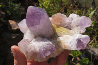 Natural Jacaranda Amethyst Clusters x 3 From Mumbwa, Zambia