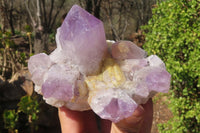 Natural Jacaranda Amethyst Clusters x 3 From Mumbwa, Zambia