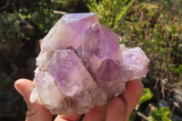 Natural Jacaranda Amethyst Clusters x 3 From Mumbwa, Zambia