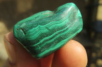 Polished Flower Banded Malachite Free Forms x 35 From Congo