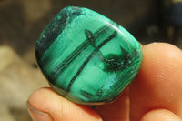 Polished Flower Banded Malachite Free Forms x 35 From Congo