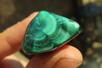 Polished Flower Banded Malachite Free Forms x 35 From Congo