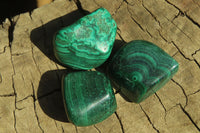 Polished Flower Banded Malachite Free Forms x 35 From Congo