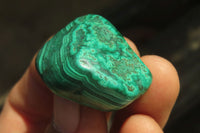 Polished Flower Banded Malachite Free Forms x 35 From Congo