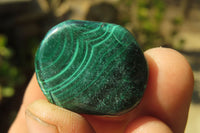 Polished Flower Banded Malachite Free Forms x 35 From Congo