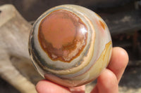 Polished Polychrome Jasper Spheres x 6 From Mahajanga, Madagascar