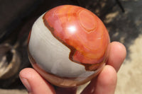 Polished Polychrome Jasper Spheres x 6 From Mahajanga, Madagascar