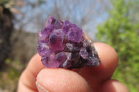 Natural Amethystos Amethyst Specimens x 70 From Kwaggafontein, South Africa