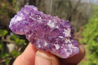 Natural Amethystos Amethyst Specimens x 70 From Kwaggafontein, South Africa