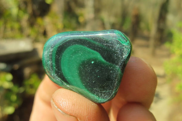 Polished Flower Banded Malachite Free Forms x 42 From Congo