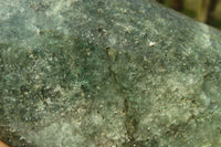 Polished Green Fuchsite Quartz Standing Free Forms x 2 From Madagascar