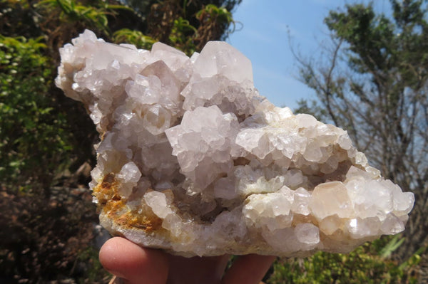 Natural Spirit Quartz Cluster x 1 From Boekenhouthoek, South Africa