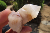 Polished Pineapple Candle Quartz Single Crystals x 12 From Antsirabe, Madagascar