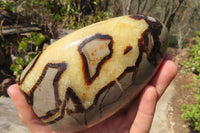 Polished Septerye Standing Free Forms x 2 From Mahajanga, Madagascar