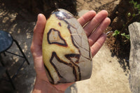 Polished Septerye Standing Free Forms x 2 From Mahajanga, Madagascar