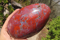 Polished Red Jasper Standing Free Form x 1 From Madagascar