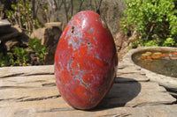 Polished Red Jasper Standing Free Form x 1 From Madagascar