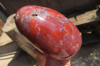 Polished Red Jasper Standing Free Form x 1 From Madagascar