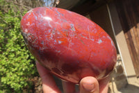 Polished Red Jasper Standing Free Form x 1 From Madagascar