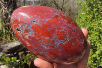 Polished Red Jasper Standing Free Form x 1 From Madagascar