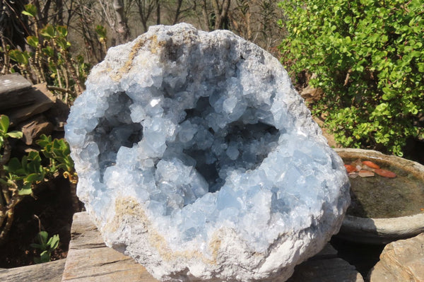 Natural Celestite Geode Specimen x 1 From Sakoany, Madagascar