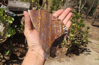 Polished On One Side Nguni Jasper Specimens x 2 From Prieska, South Africa