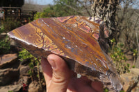 Polished On One Side Nguni Jasper Specimens x 2 From Prieska, South Africa