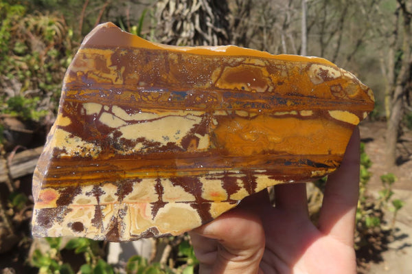 Polished On One Side Nguni Jasper Specimens x 2 From Prieska, South Africa