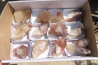 Natural Hematoid Quartz Specimens x 12 From Karoi, Zimbabwe