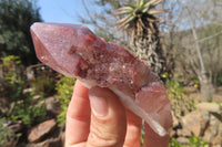 Natural Hematoid Quartz Specimens x 12 From Karoi, Zimbabwe