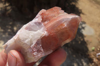 Natural Hematoid Quartz Specimens x 12 From Karoi, Zimbabwe