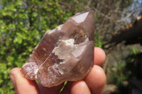 Natural Hematoid Quartz Specimens x 12 From Karoi, Zimbabwe