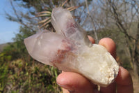 Natural Hematoid Quartz Specimens x 12 From Karoi, Zimbabwe