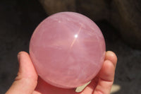 Polished Star Rose Quartz Spheres x 2 From Antsirabe, Madagascar