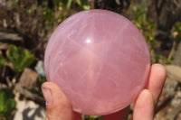 Polished Star Rose Quartz Spheres x 2 From Antsirabe, Madagascar