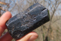 Natural Alluvial Schorl Black Tourmaline Crystals x 12 From Zimbabwe