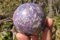 Polished Purple Lepidolite Spheres x 4 From Madagascar