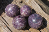 Polished Purple Lepidolite Spheres x 4 From Madagascar