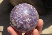 Polished Purple Lepidolite Spheres x 4 From Madagascar