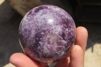 Polished Purple Lepidolite Spheres x 4 From Madagascar