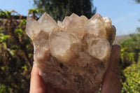 Natural Smokey Quartz Clusters x 2 From Luena, Congo