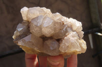 Natural Smokey Quartz Clusters x 2 From Luena, Congo