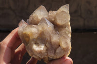 Natural Smokey Quartz Clusters x 2 From Luena, Congo