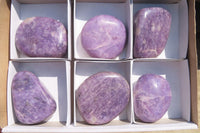 Polished Lepidolite Free Forms x 6 From Zimbabwe