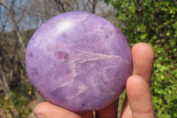 Polished Lepidolite Free Forms x 6 From Zimbabwe