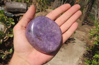 Polished Lepidolite Free Forms x 6 From Zimbabwe