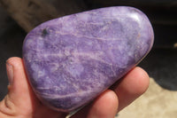 Polished Lepidolite Free Forms x 6 From Zimbabwe