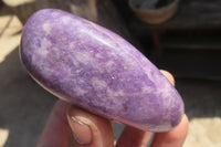 Polished Lepidolite Free Forms x 6 From Zimbabwe