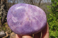 Polished Lepidolite Free Forms x 6 From Zimbabwe